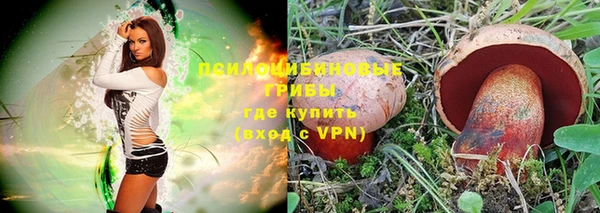 дживик Абинск